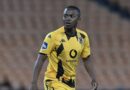 UNgcobo Uthi Bangayingcwaba ISundowns Enamanxeba